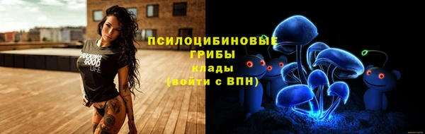 мдпв Горнозаводск