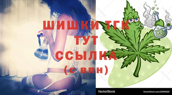 мдпв Горнозаводск