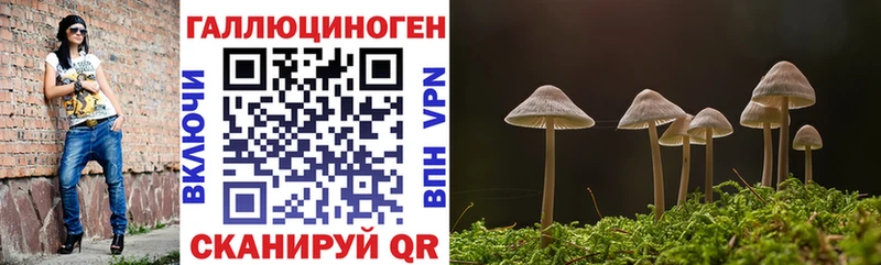 Купить закладки  Михайловск  Галлюциногенные грибы Cubensis 